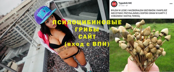 бошки Беломорск