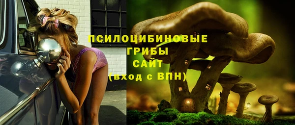 бошки Беломорск