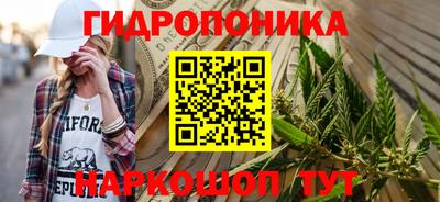 гашик Жуковский