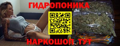 гашик Жуковский