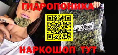гашик Жуковский