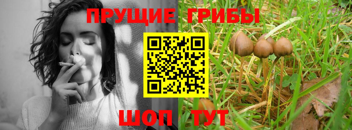 Псилоцибиновые грибы Psilocybe  Вход с VPN  Галлюциногенные грибы мухоморы  наркотики  Луховицы 