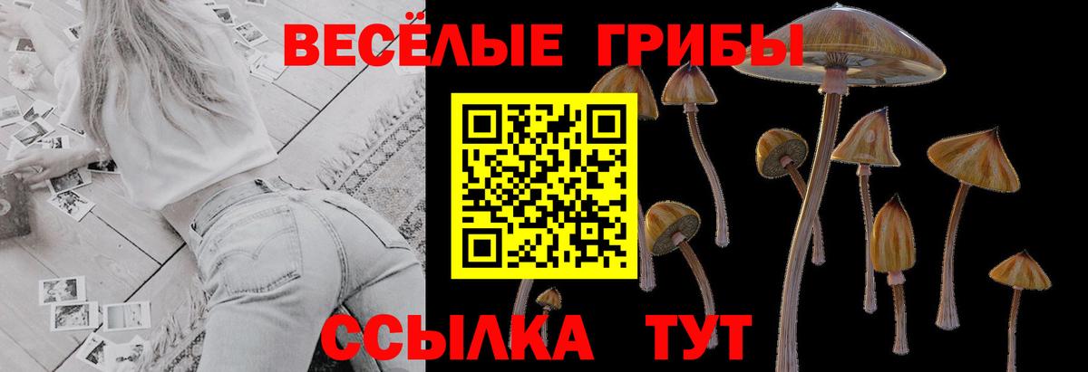 Псилоцибиновые грибы MAGIC MUSHROOMS Луховицы