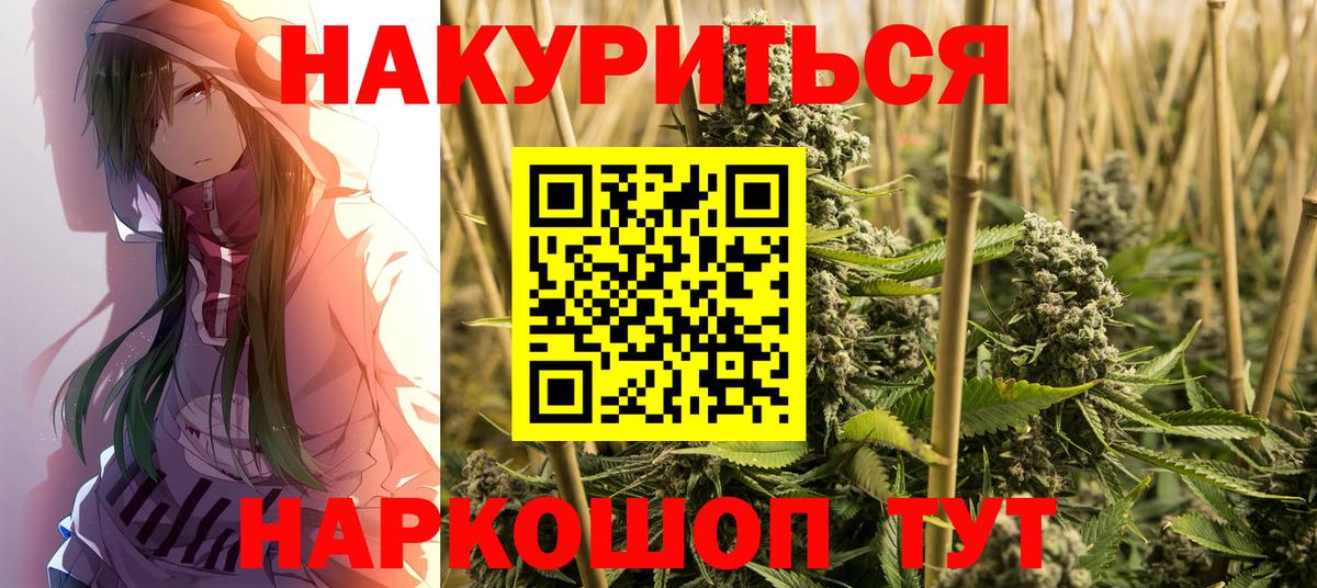 Шишки марихуана план Луховицы